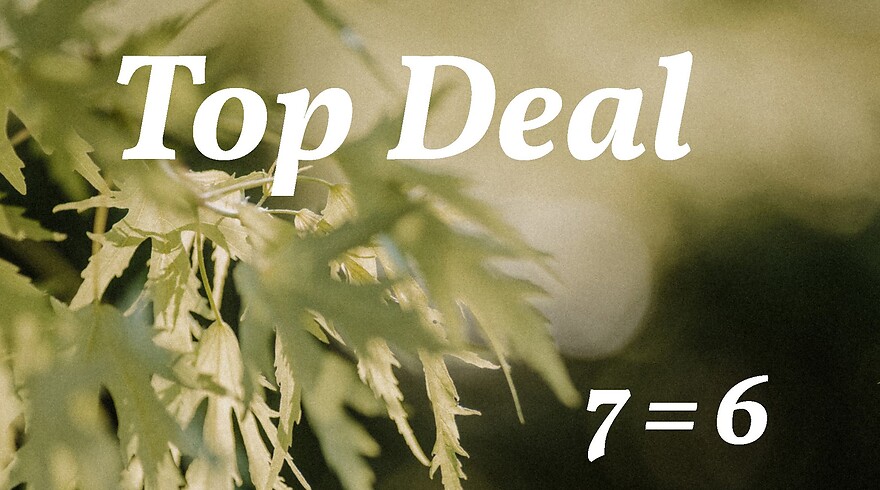Top Deal 7=6