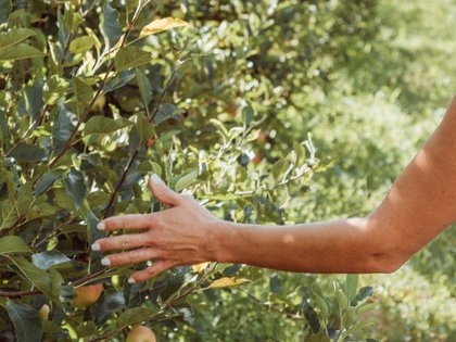 Ankommen bei dir - Kraft schöpfen für den Winter Ankommen bei dir - Kraft schöpfen für den Winter