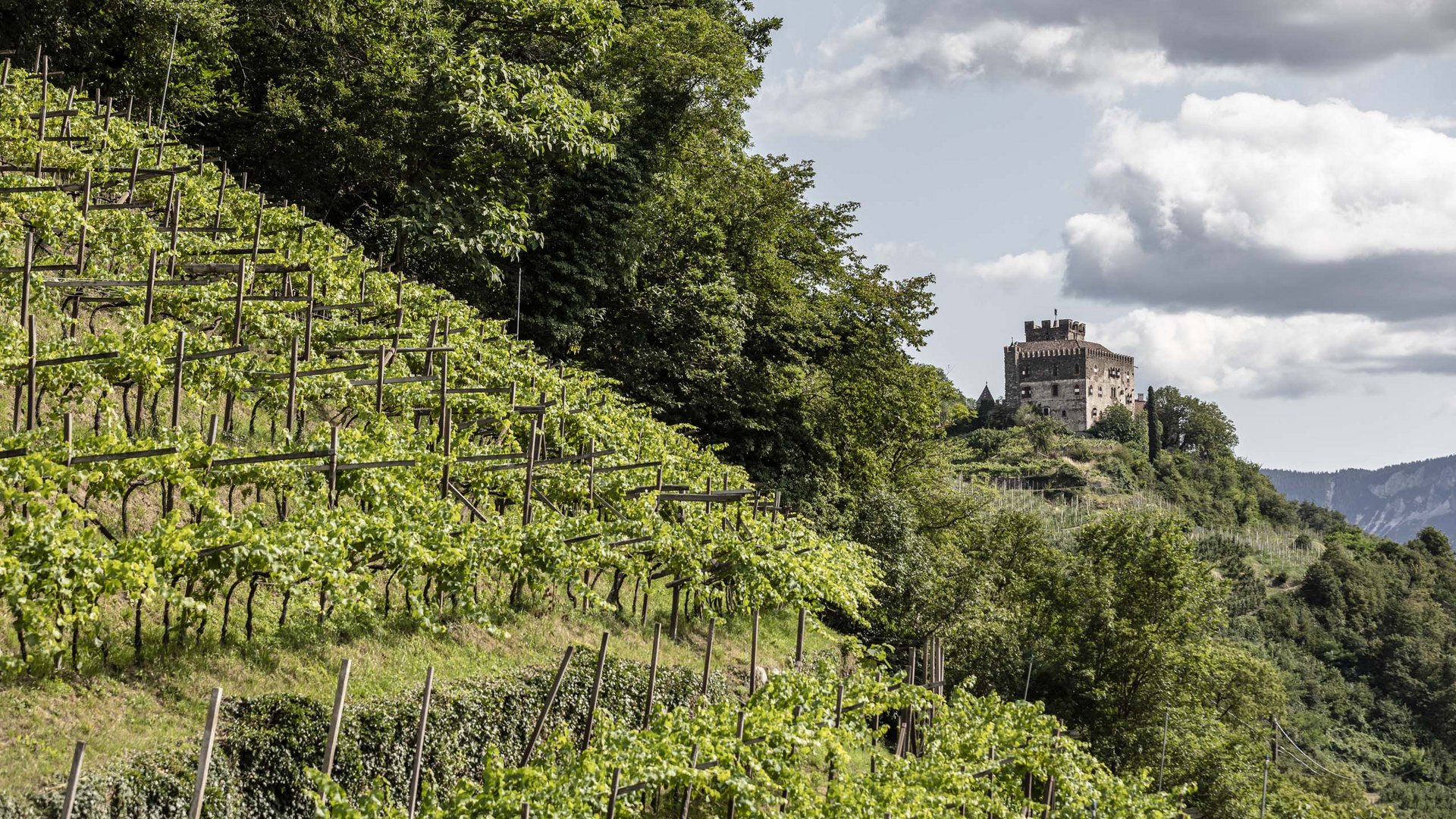 Alla scoperta delle meraviglie dell’Alto Adige Alla scoperta delle meraviglie dell’Alto Adige
