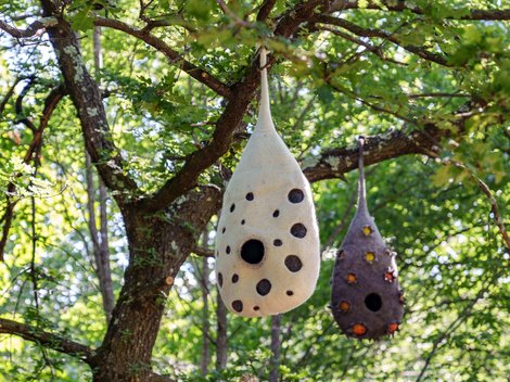 Inspiration, Ideen und Impulse aus theiner’s garten Inspiration, Ideen und Impulse aus theiner’s garten