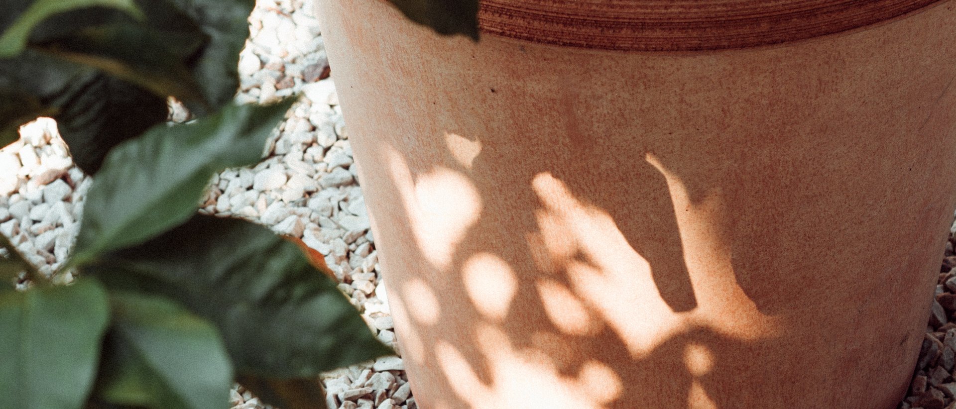 4. theiner's Weinsafari 4. theiner's Weinsafari