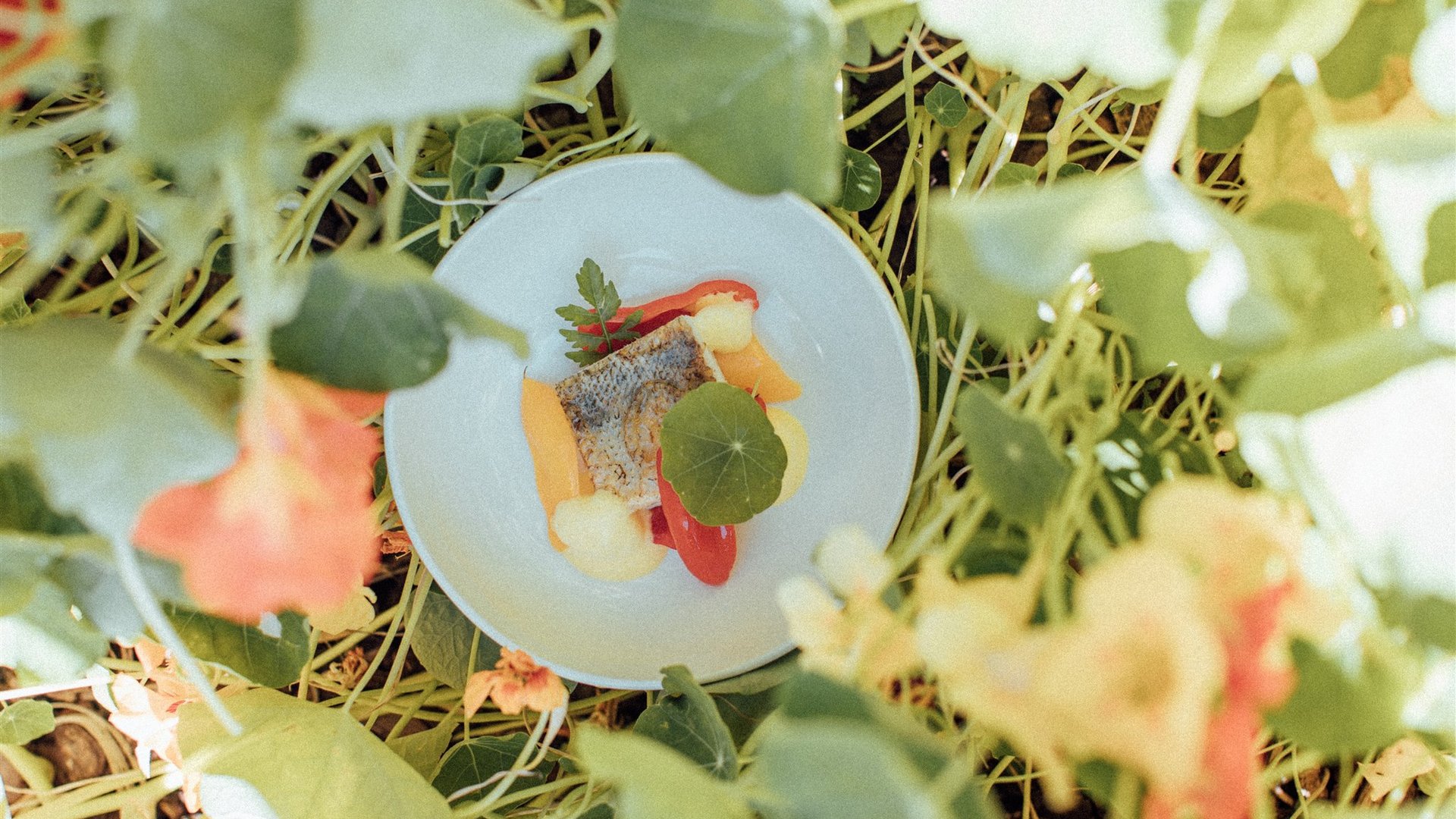 Hotel ecologico a Merano e dintorni Hotel ecologico a Merano e dintorni