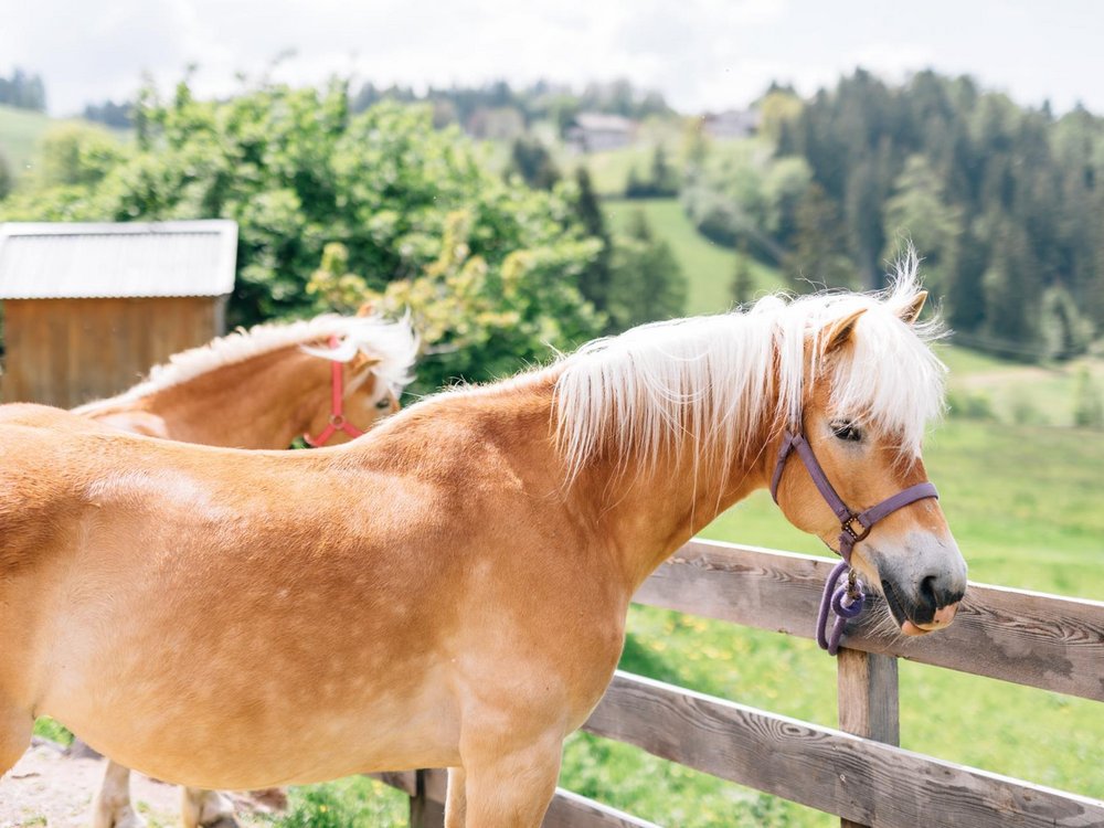 Nachhaltig und stressfrei Nachhaltig und stressfrei