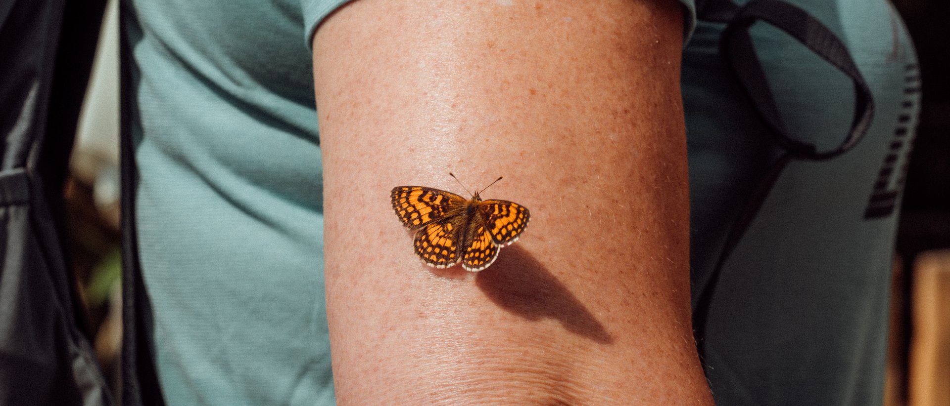 Dolomitenmomente Dolomitenmomente